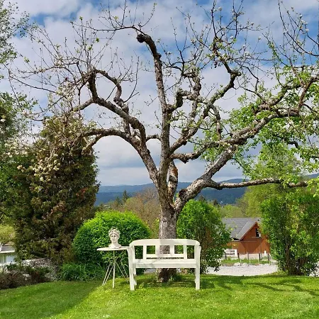 Juni-rose By Interhome *